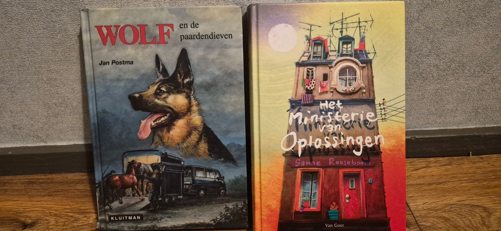 2 leuke boeken, Boeken, Ophalen of Verzenden, Gelezen, Fictie algemeen