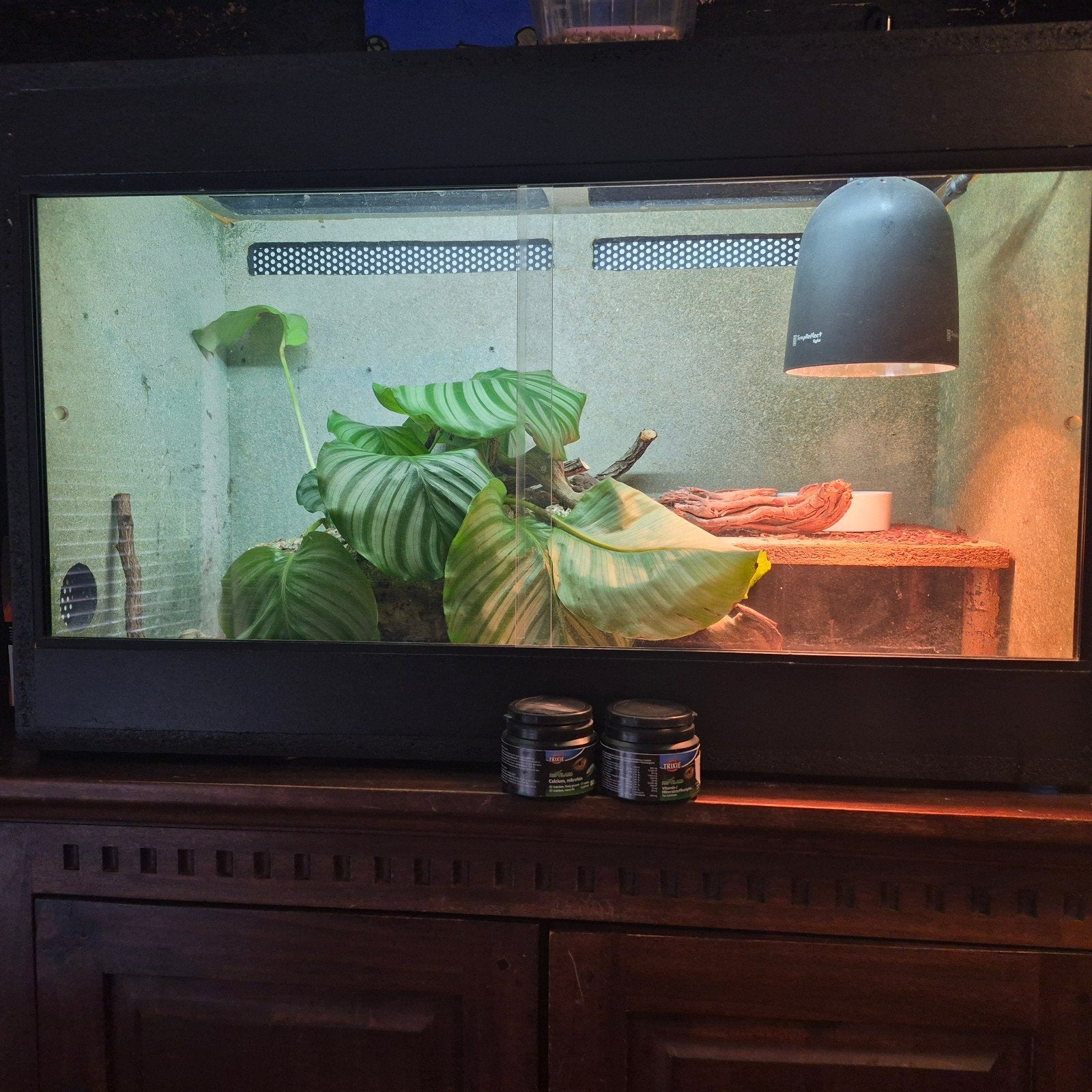 terrarium 🦎, Dieren en Toebehoren, Reptielen en Amfibieën | Toebehoren, Gebruikt, Terrarium of Paludarium, Ophalen