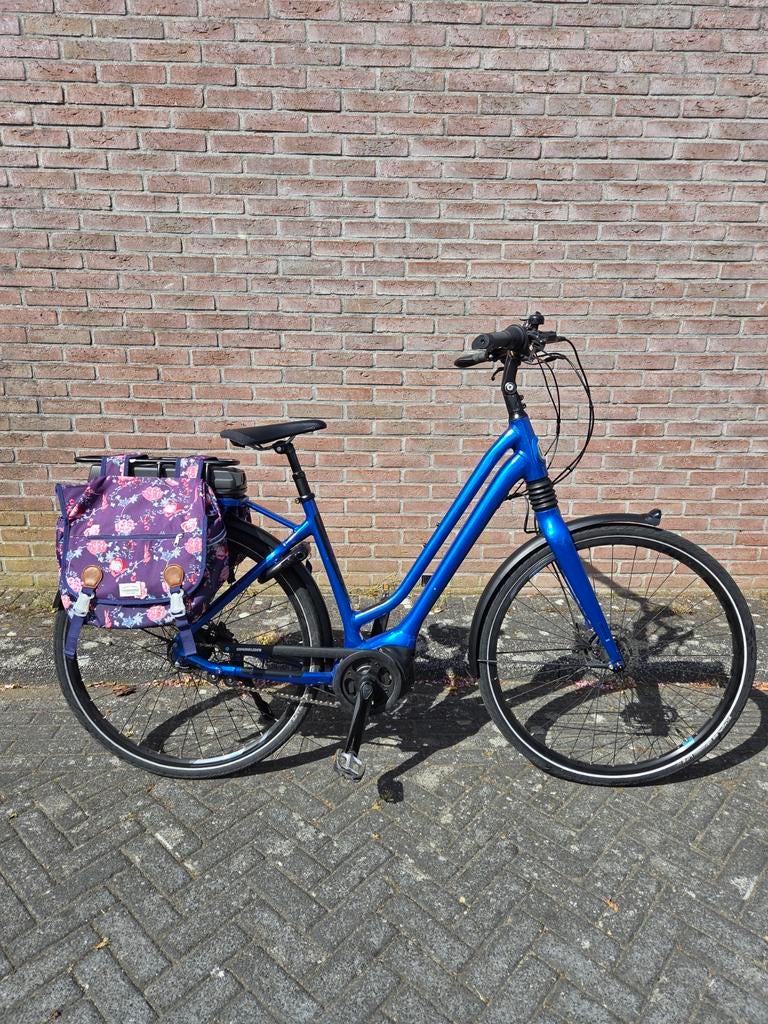 Giant Entour E+ 1 elektrische fiets met lichte krasjes, Ophalen, Gebruikt, Giant, 51 tot 55 cm