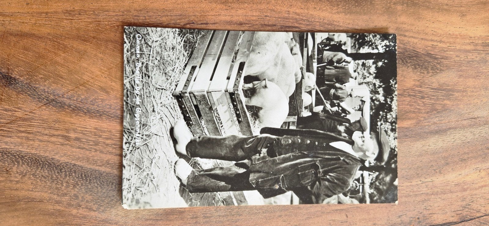 Oude ansichtkaart Ommen, Gelderland - Zwart-wit foto, Verzamelen, Ansichtkaarten | Nederland, Ophalen of Verzenden, 1940 tot 1960