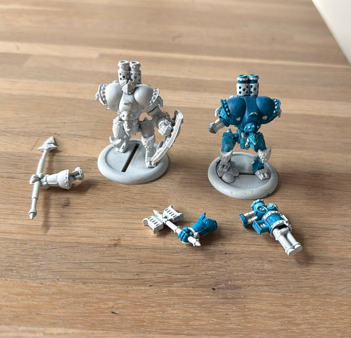 Privateer press Hordes 2x Cygnar, Ophalen of Verzenden, Zo goed als nieuw