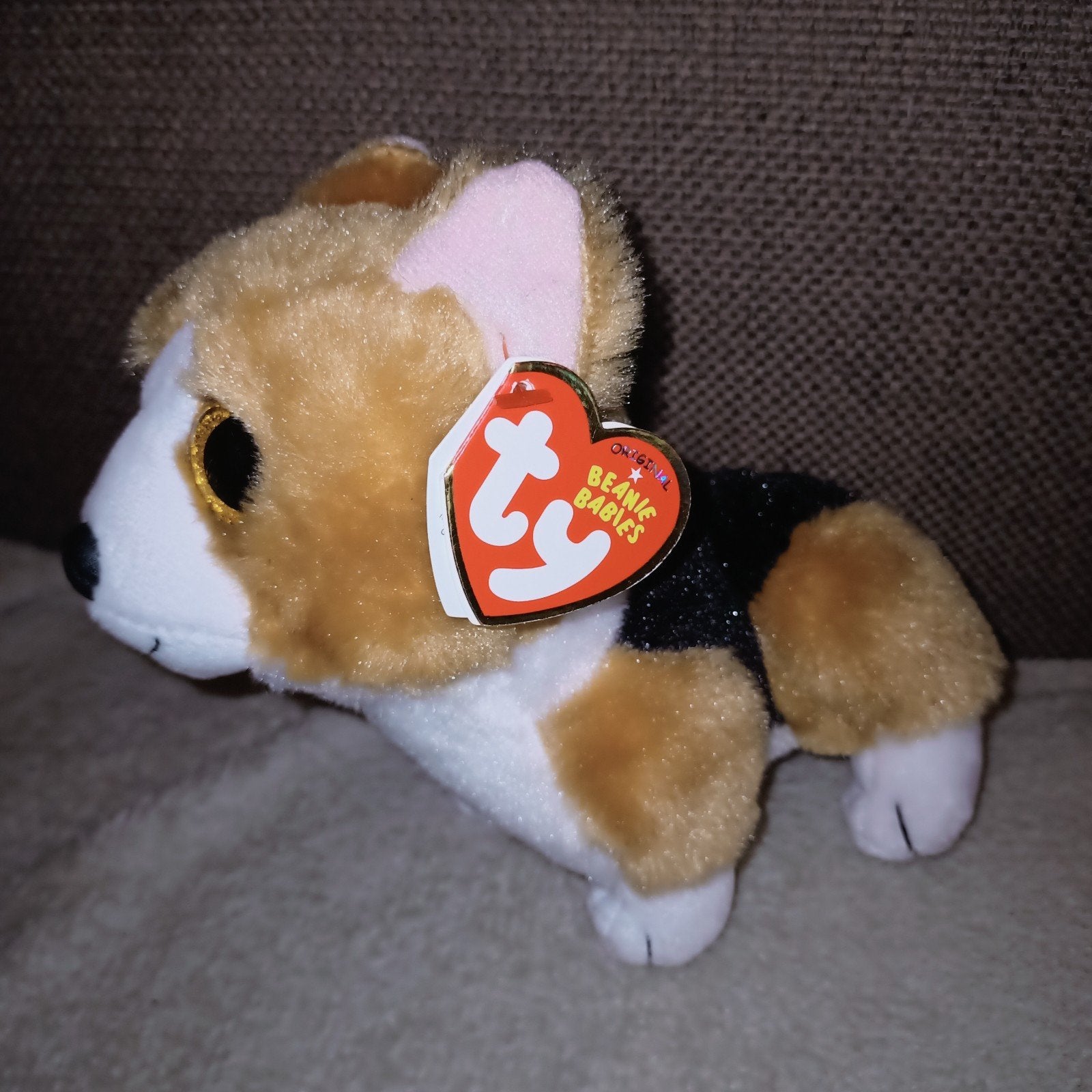 Ty beanie baby, colin de corgi, 3 kleurig, 26 juni 2021., Kinderen en Baby's, Speelgoed | Knuffels en Pluche, Overige typen, Nieuw