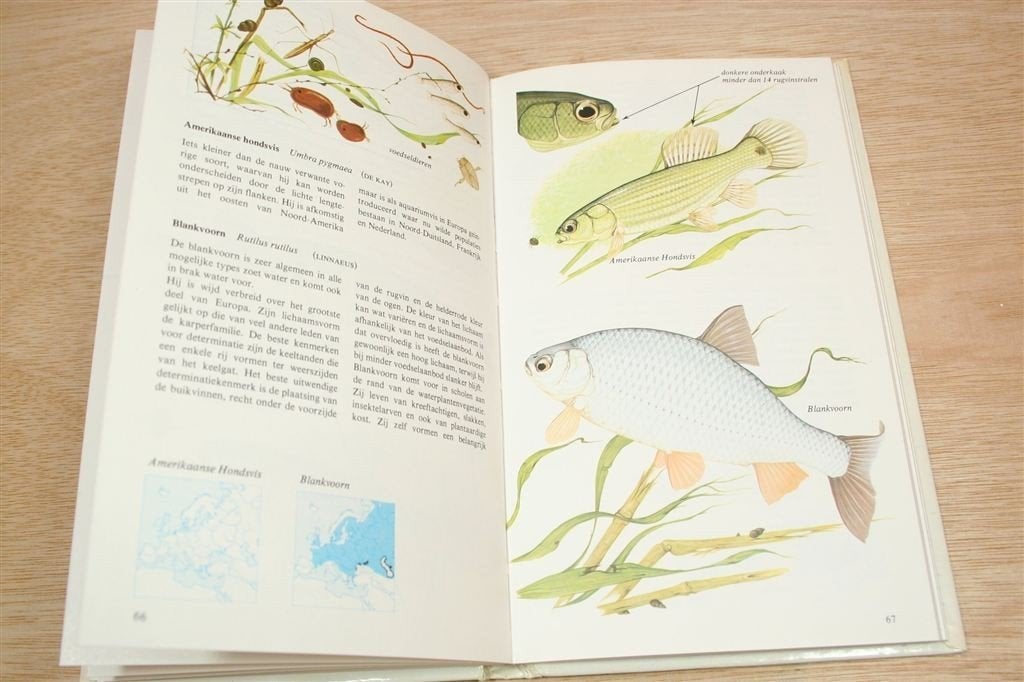 Zoetwatervissen — Overzicht Europese Soorten, Boeken, Ophalen of Verzenden, Gelezen, Vogels