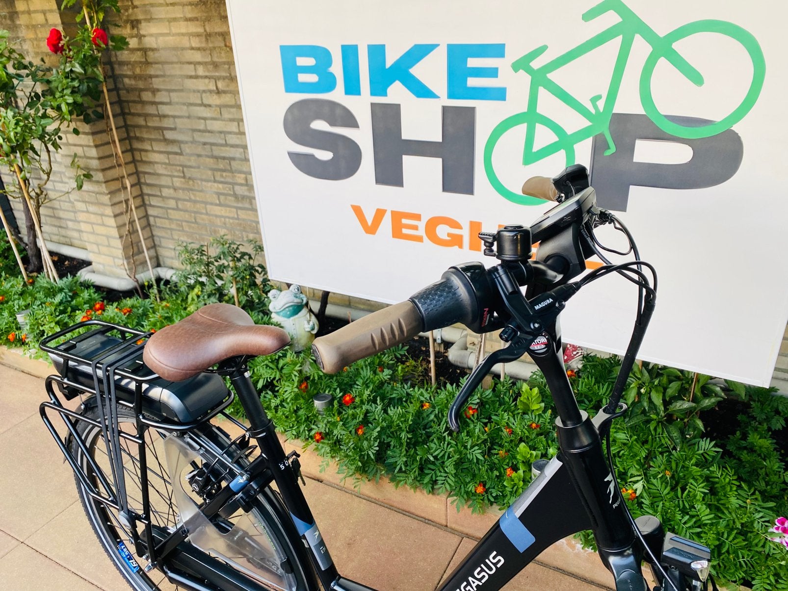 Elektrische Pegasus Bosch Middenmoto Active LinePlus.D50, Fietsen en Brommers, Fietsen | Dames | Damesfietsen, Ophalen of Verzenden