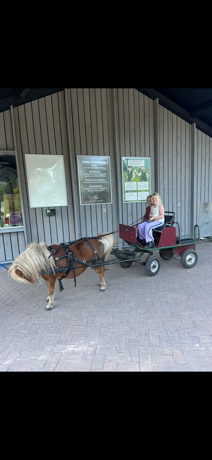 Shetlander koets te koop aangeboden, Dieren en Toebehoren, Rijtuigen en Koetsen, Gebruikt, Overige typen, Pony