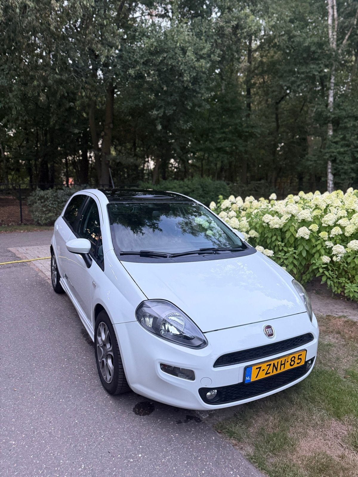Fiat Punto 0.9 Twinair 74KW 5DR 2015 Wit, Auto's, Voorwielaandrijving, Zwart, 100 pk, Handgeschakeld