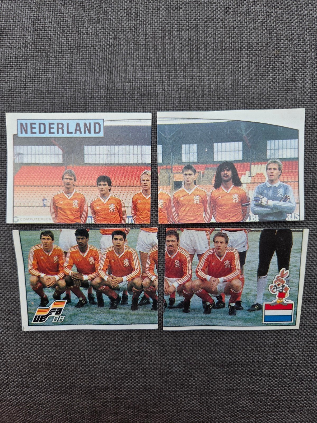 Panini EK 88 Nederland, Ophalen of Verzenden, Zo goed als nieuw, Sticker