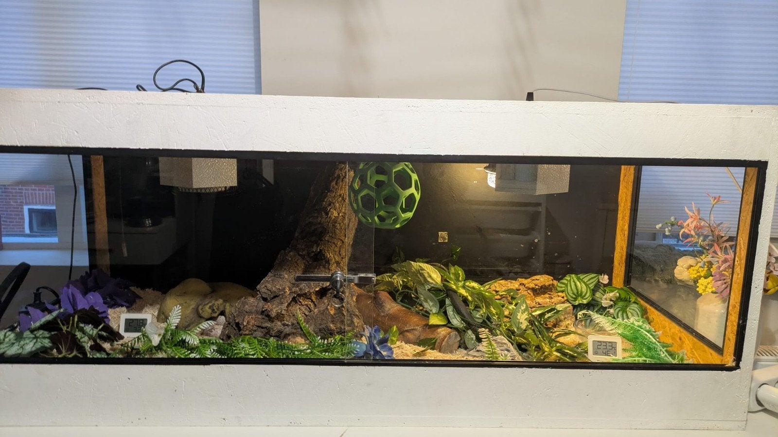 120 cm x 50 cm 50 cm wooden terrarium + accessories, Ophalen