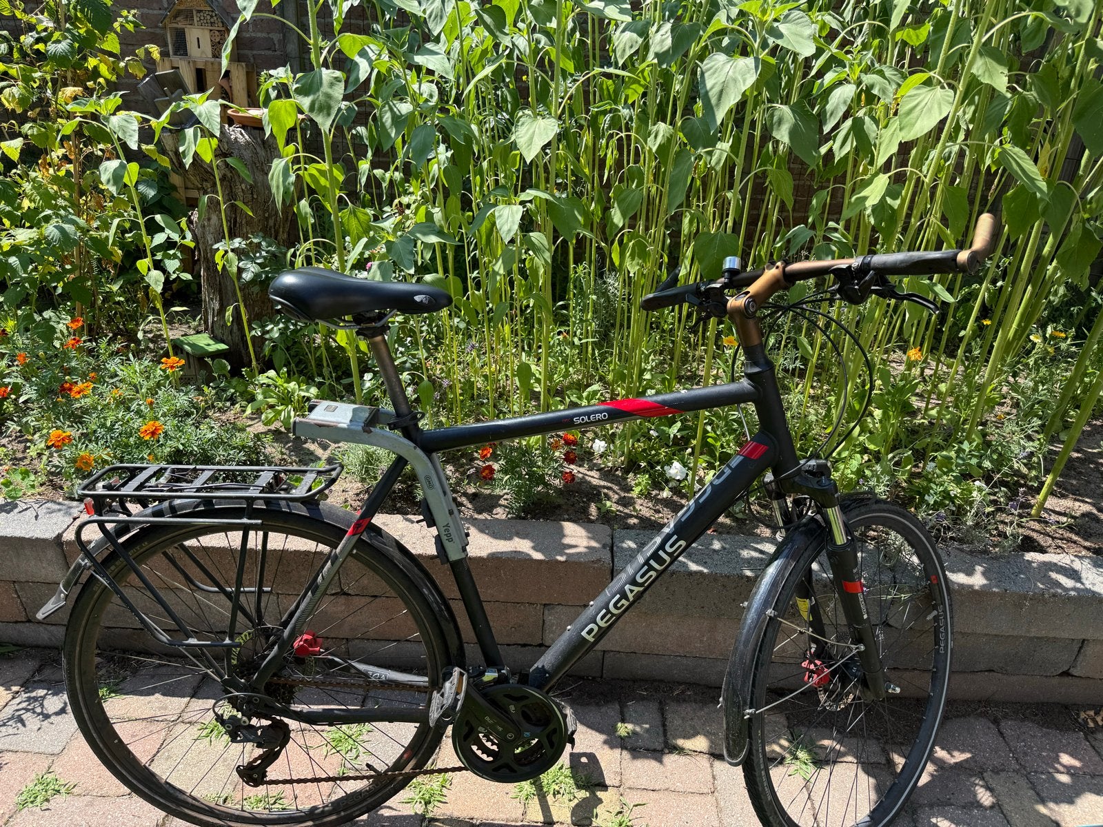 Pegasus Solero fiets frame maat 61, Overige merken, 28 inch, Gebruikt, Vering