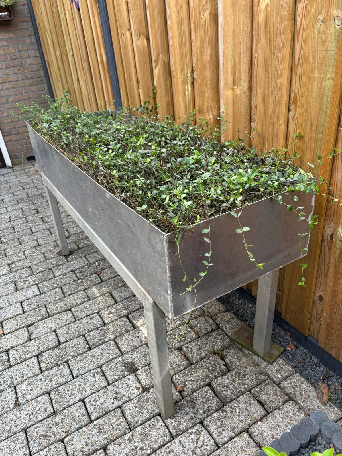 Aluminium kweek of plantenbak, Ophalen, Gebruikt