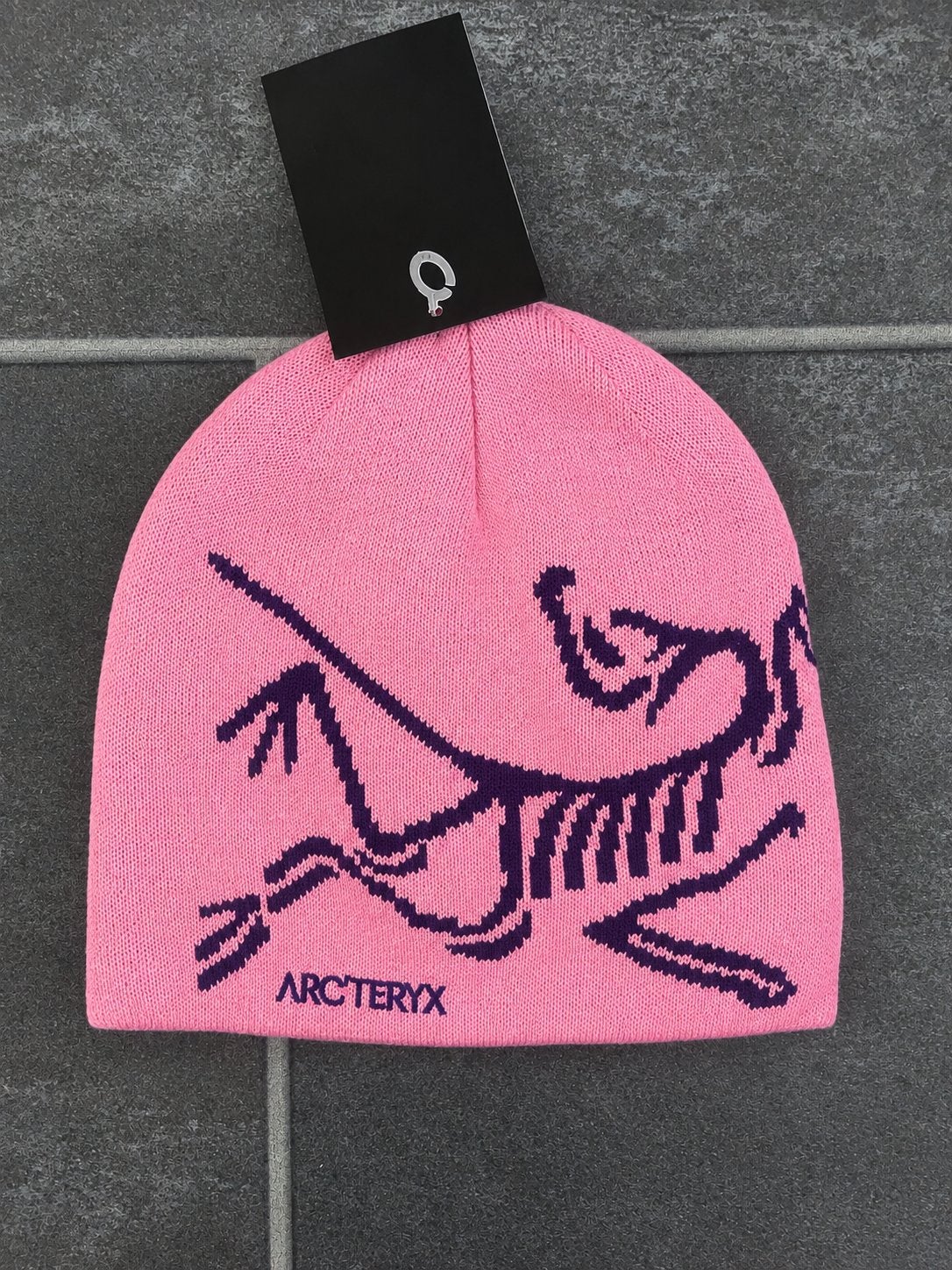 Arcteryx Muts Roze - Nieuw met label, Verzenden, Nieuw, Maat 38/40 (M), Muts