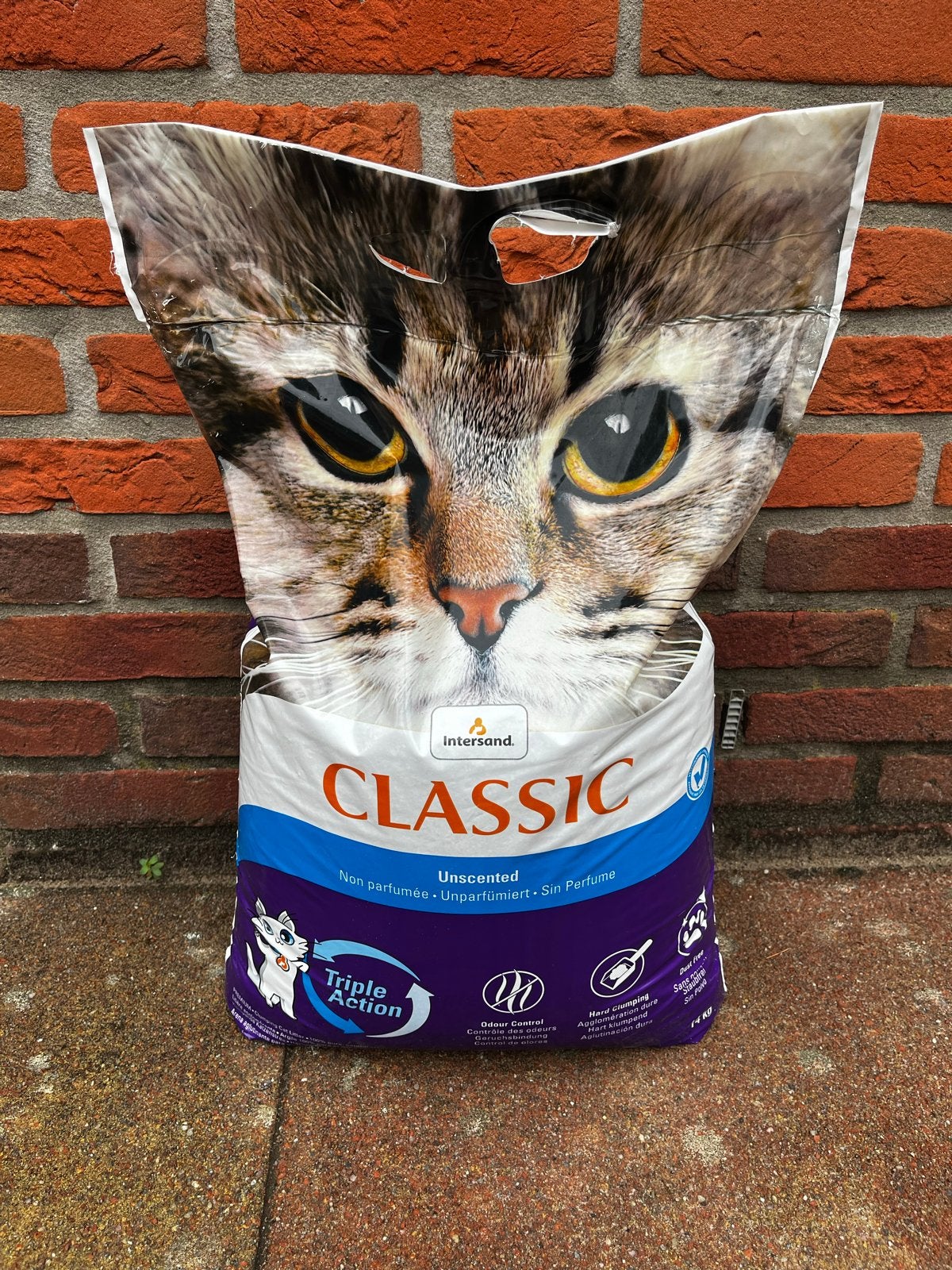 Kattenbak zand klontvormig  (Classic Intersand), Poes