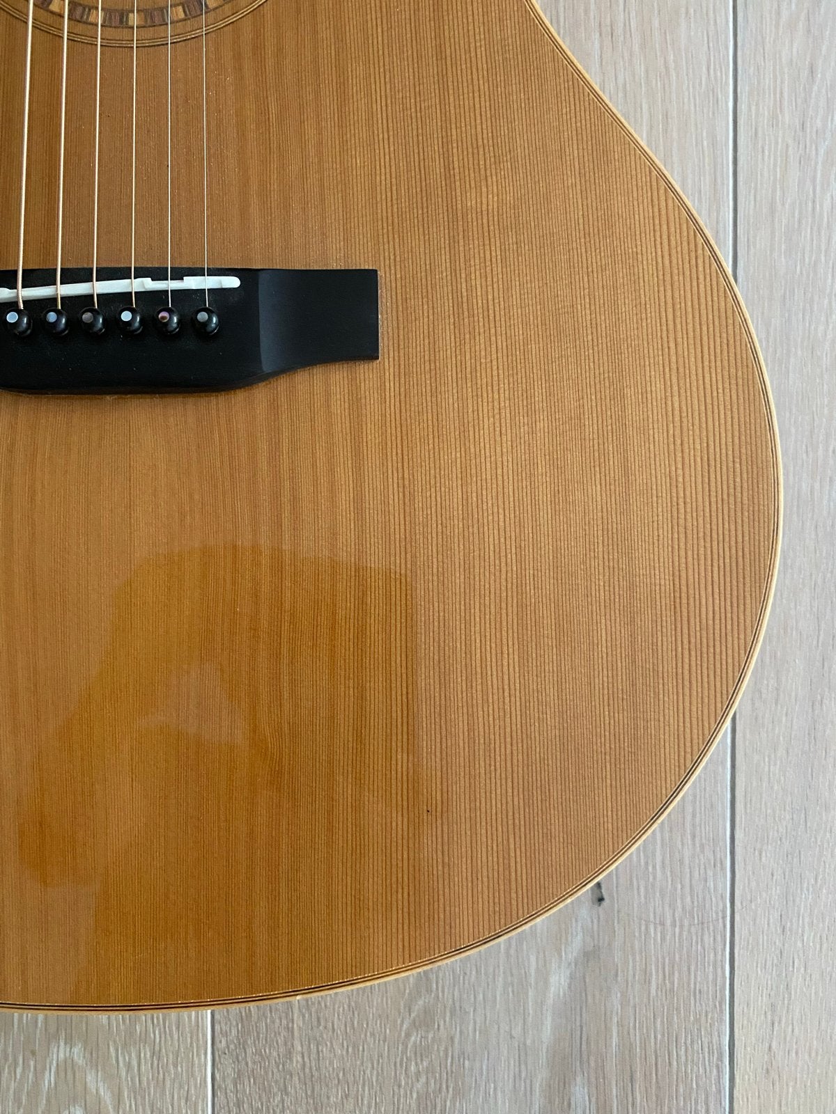Foto 4 van Bedell MB-24-G akoestische gitaar