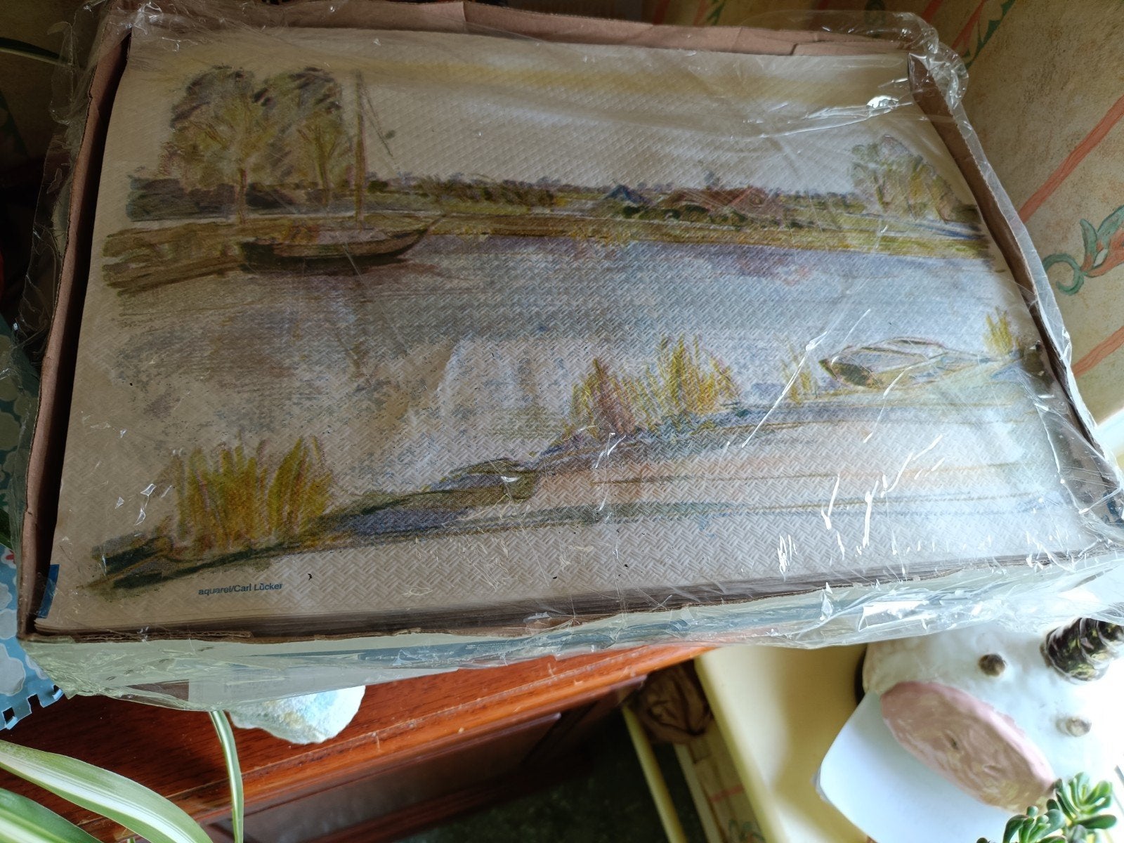 papieren placemats, Ophalen of Verzenden, Nieuw, Rechthoek