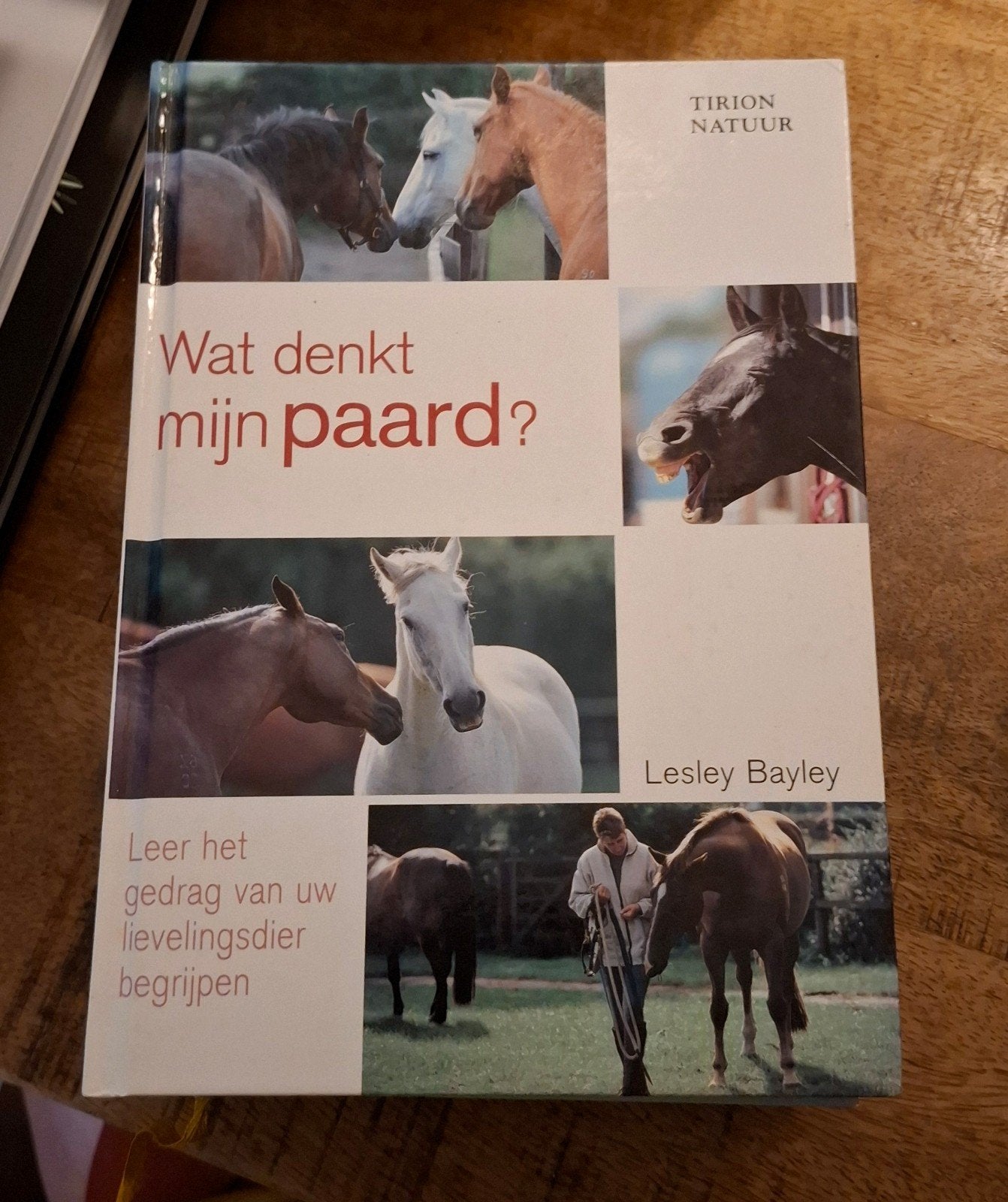 Wat denkt mijn paard? Leer het gedrag van uw paard begrijpen, Ophalen of Verzenden, Gelezen, Paarden of Pony's, Lesley Bayley