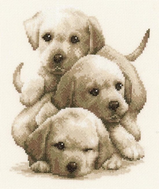 Borduurpakket Labrador puppies pn0148781, ., Nieuw, Ophalen of Verzenden, .