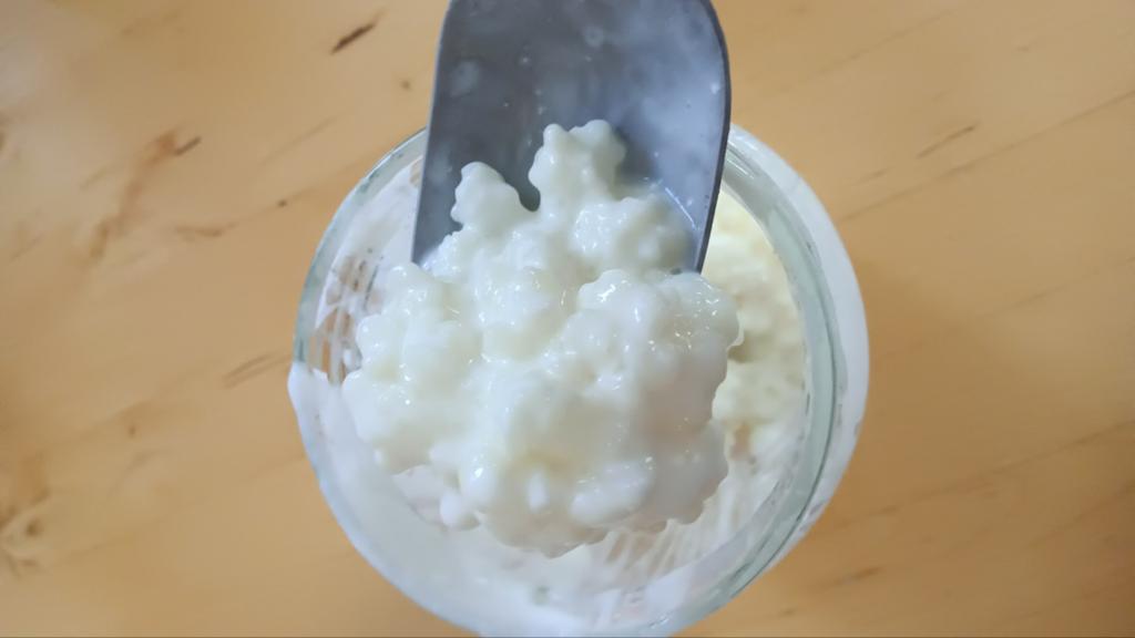 Wil je maken jouw eigen kefir?, Ophalen of Verzenden, Rvs of Chroom