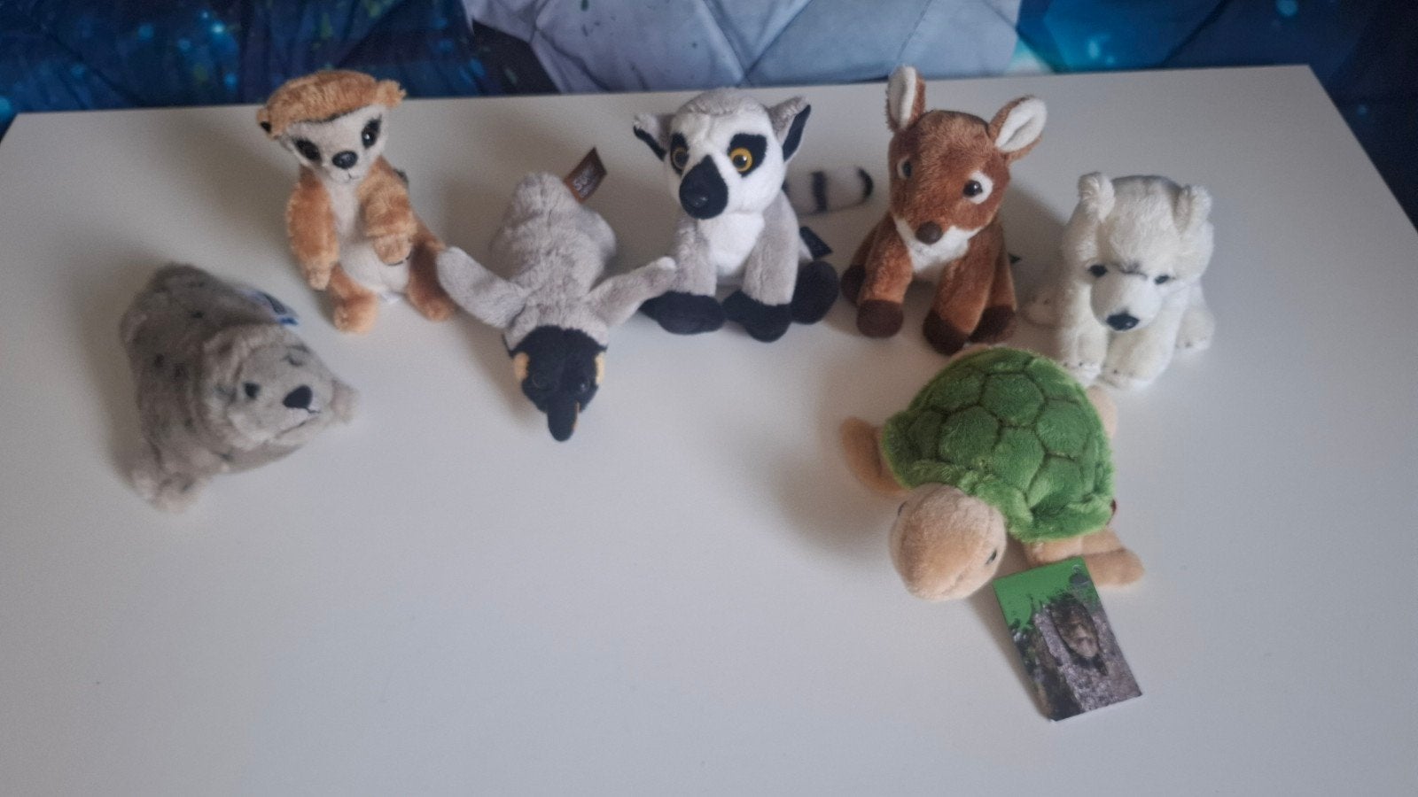 Diverse knuffeldieren - Zo goed als nieuw, Overige typen, Ophalen of Verzenden, Zo goed als nieuw, Klein (minder dan 20 cm)