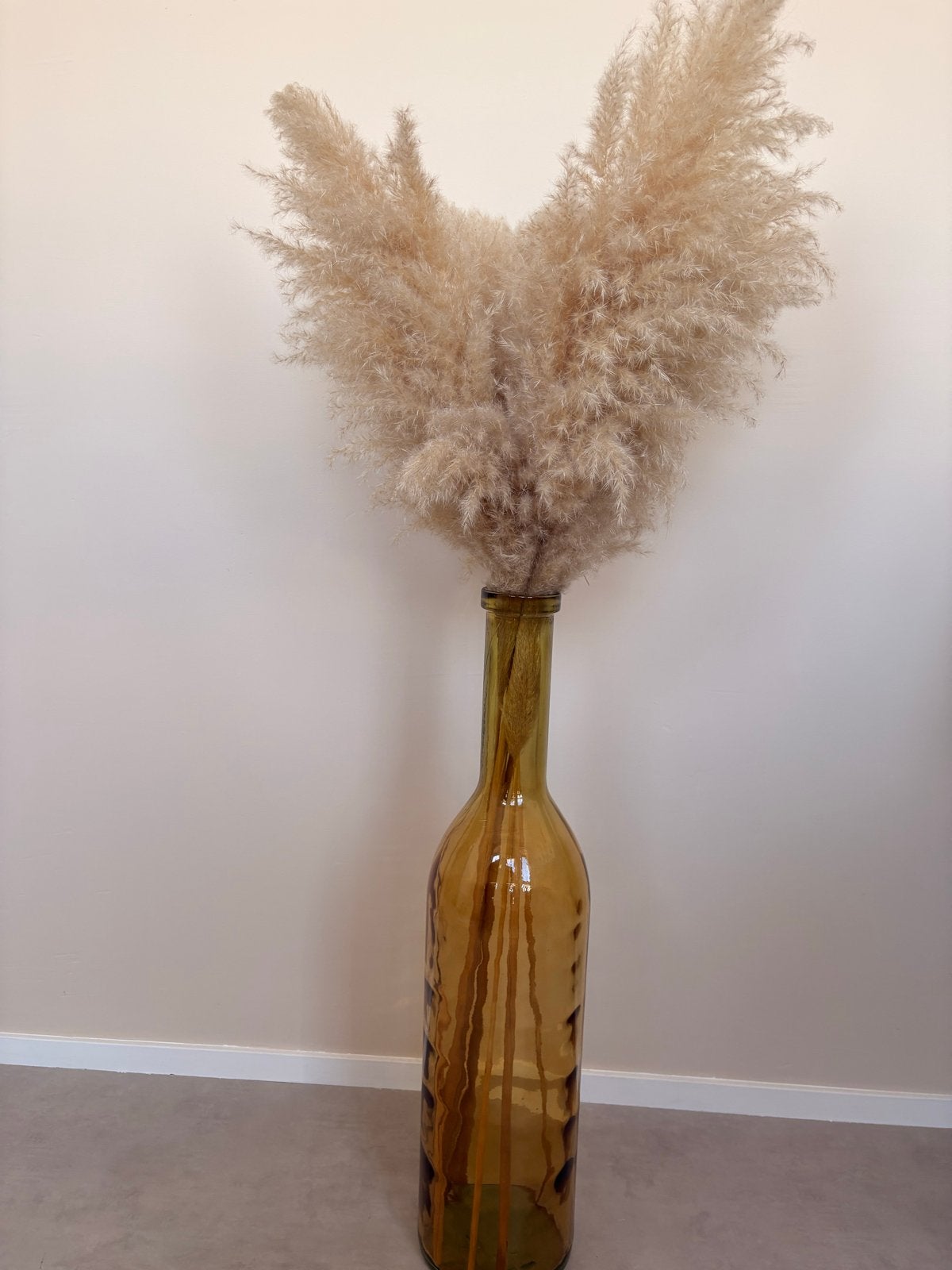 Grote glazen vaas met pampasgras, Ophalen, Inclusief droogbloemen, Bruin, Glas