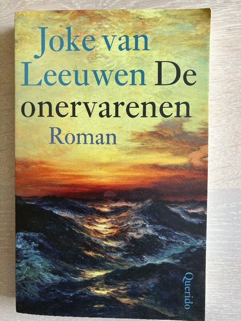 Roman De onervarenen van Joke van Leeuwen., Gelezen, Joke van Leeuwen, Ophalen of Verzenden, Nederland