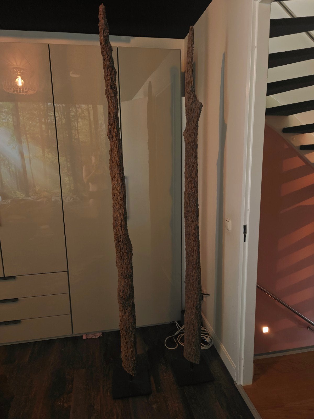 Unieke XXL Cholla Cactus Hout Decoratie - Set van 2, Ophalen
