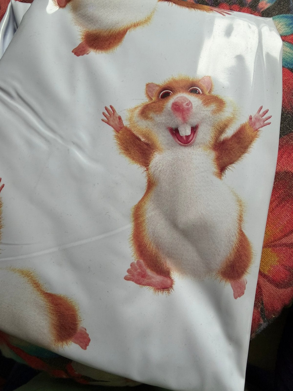 Strandbal Hamster 50cm, Kinderen en Baby's, Ophalen of Verzenden, Zo goed als nieuw