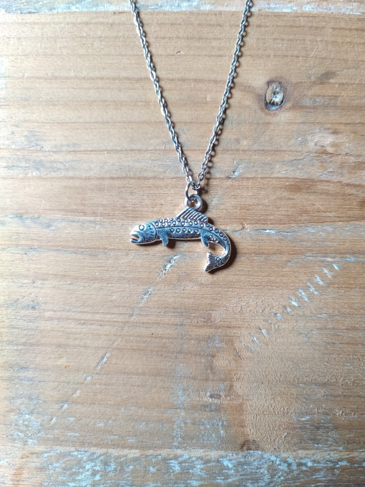Nieuwe Zilverkleurige Ketting met Vis Hanger, Verzenden, Nieuw, Zilver, Overige materialen
