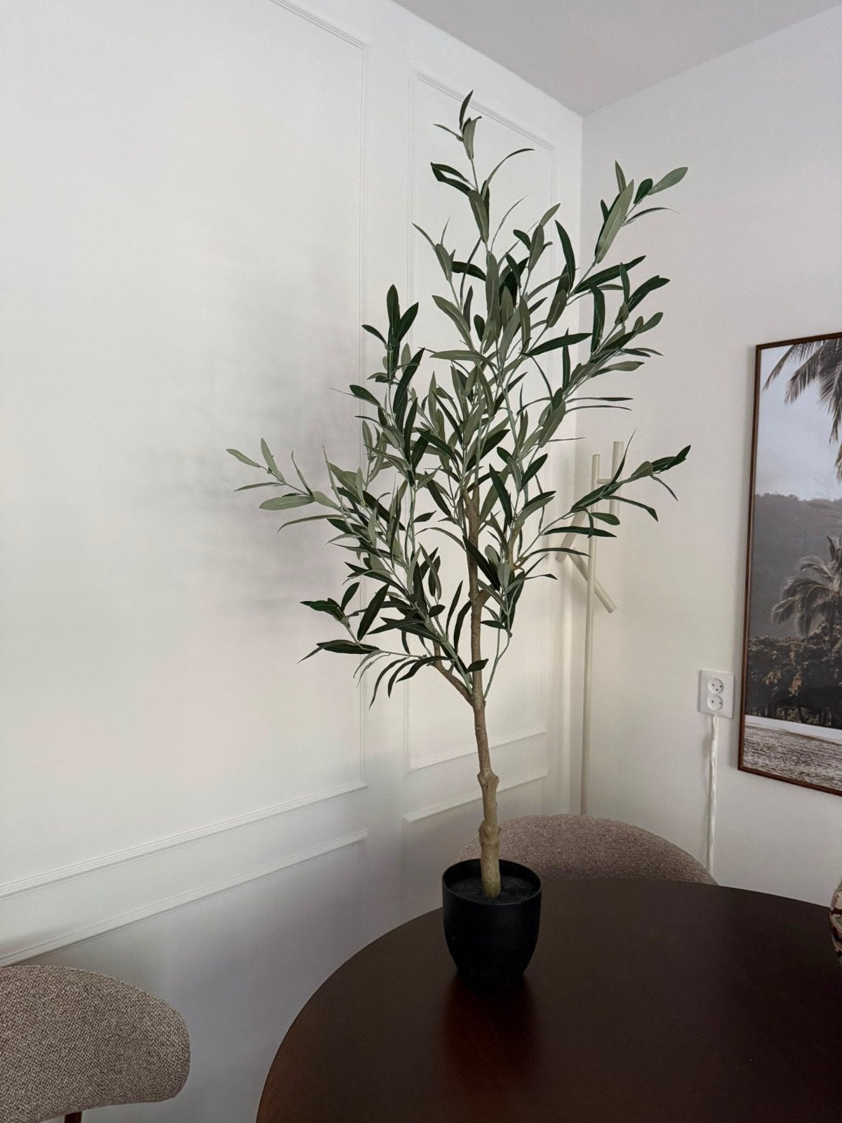 Mooie olijfboom (kunstplant) in nette staat, Ophalen