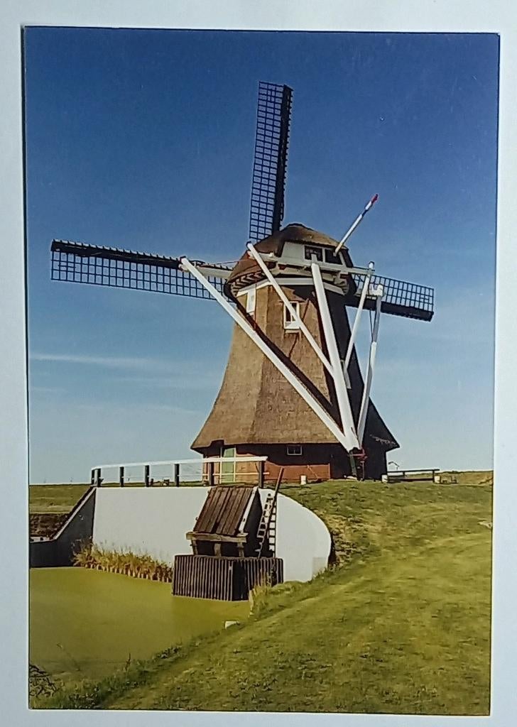 Eemshaven ( Gr. ) foto foto foto Molen De Goliath, Verzenden, 1980 tot heden, Foto, Zo goed als nieuw