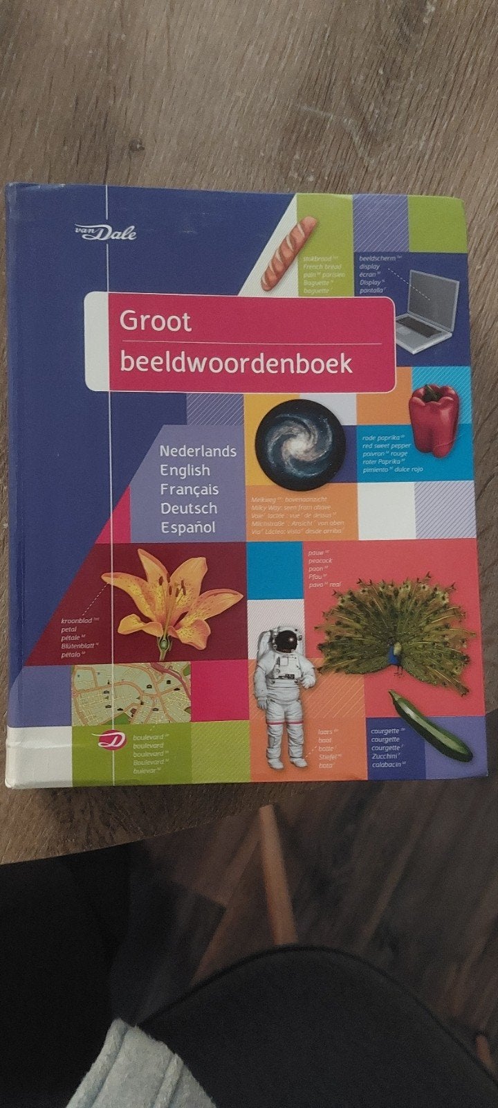 Van Dale Groot Beeldwoordenboek - Zo goed als nieuw, Ophalen of Verzenden, Zo goed als nieuw, Van Dale, Nederlands