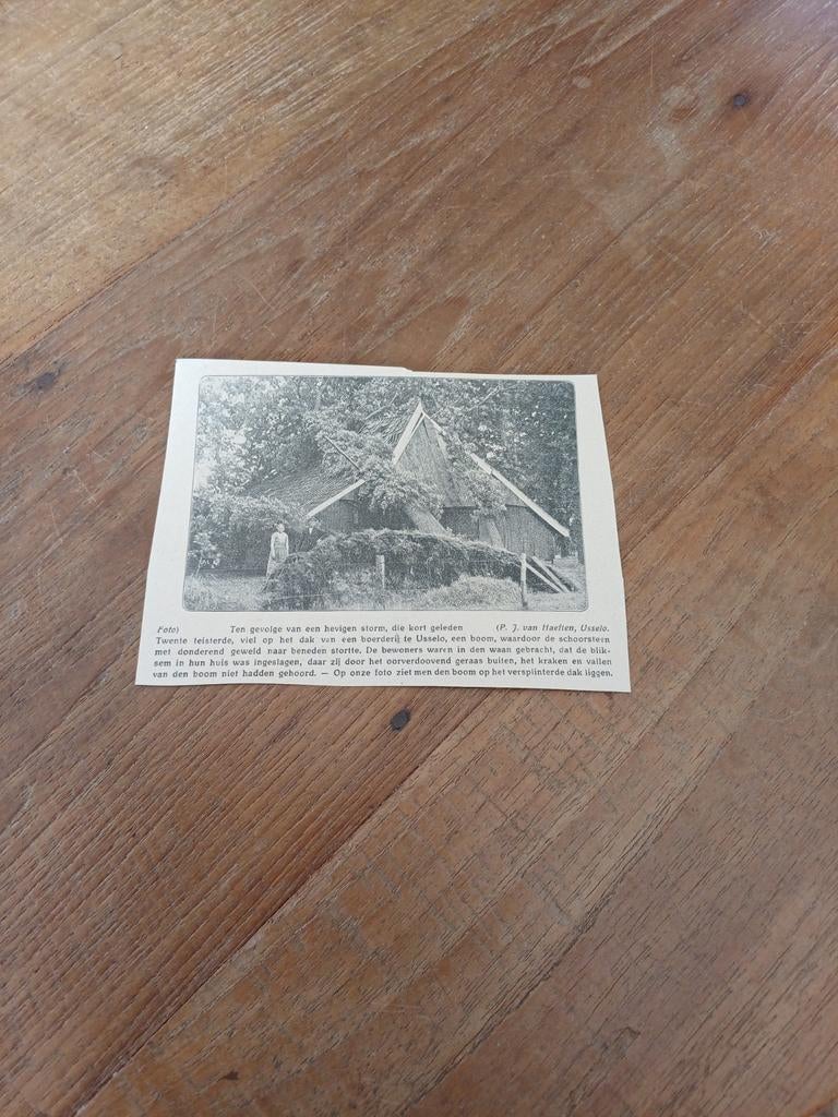 Knipsel boom op boerderij Usselo 1923, Ophalen of Verzenden, 1920 tot 1940, Knipsel(s)