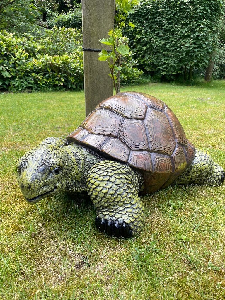 Tuinbeeld schildpad, gazon, tuin, vijver, 90 cm, Ophalen, Nieuw, Kunststof, Dierenbeeld