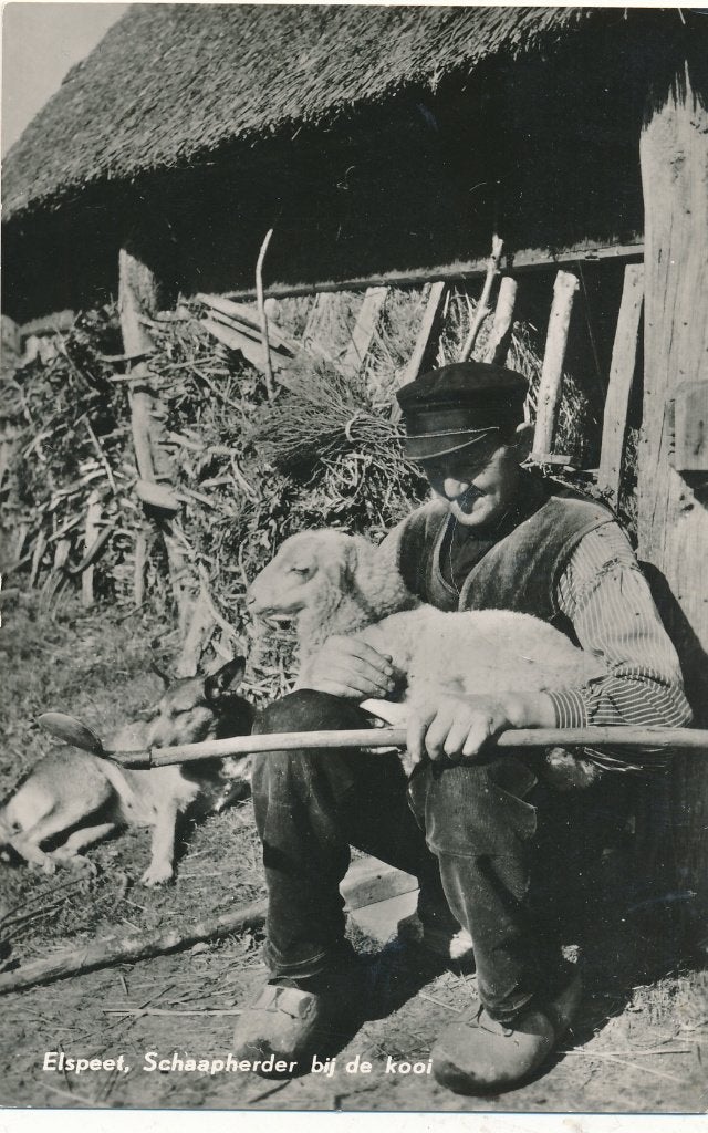 9976 Elspeet Schaapsherder bij de kooi, Verzenden, 1940 tot 1960, Gelderland