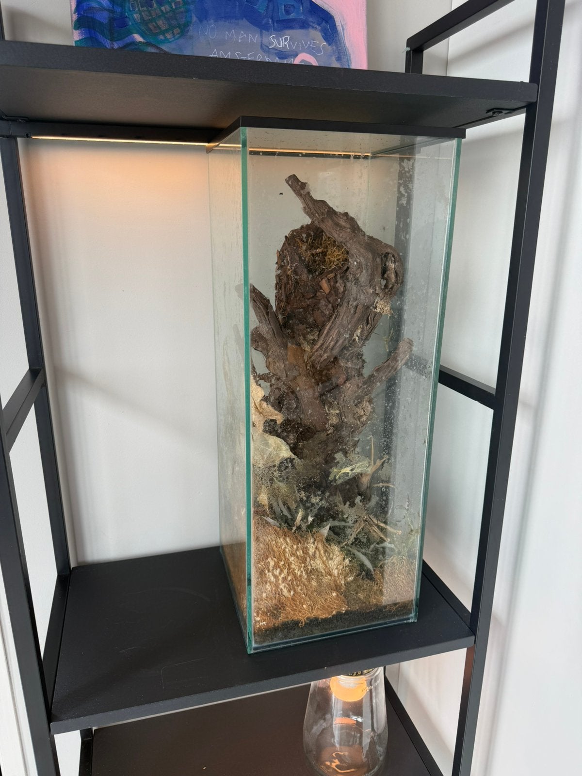Glazen aquarium / terrarium / vivarium – 25x25x65 cm, Dieren en Toebehoren, Ophalen, Zo goed als nieuw