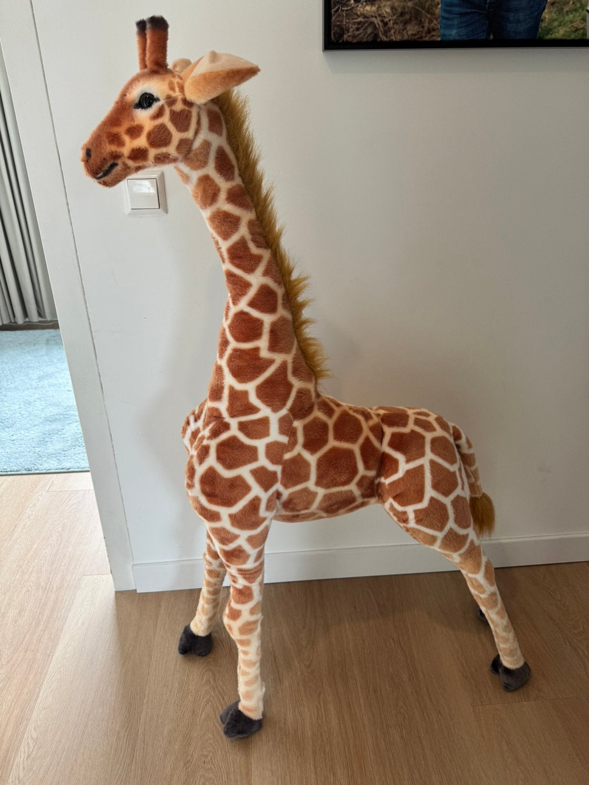 Decoratie giraf, Ophalen, Zo goed als nieuw