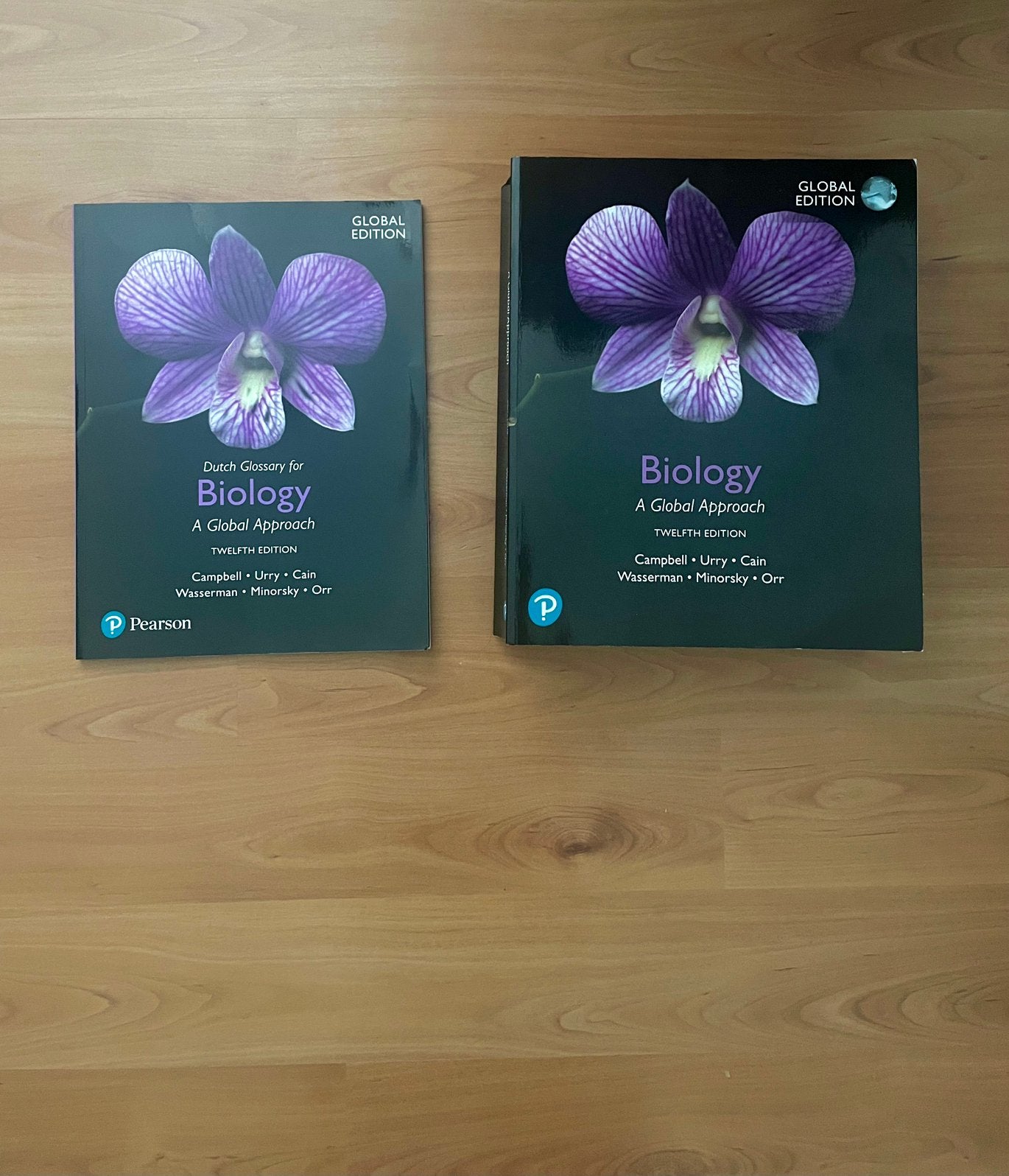 Biology Campbell: 12th edition + Glossary, Ophalen of Verzenden, Beta, Zo goed als nieuw, HBO