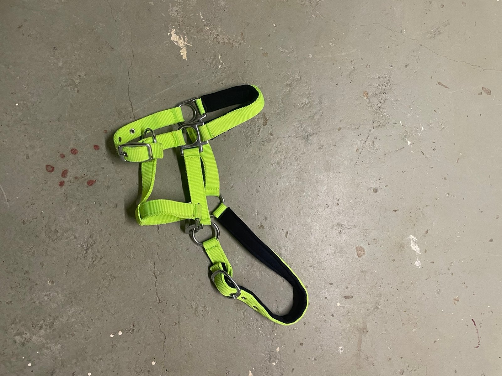 Halster Neon Geel, Dieren en Toebehoren, Ophalen of Verzenden, Nieuw, Recreatie