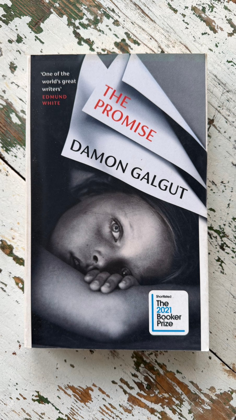 The Promise - Damon Galgut, Ophalen of Verzenden, Zo goed als nieuw