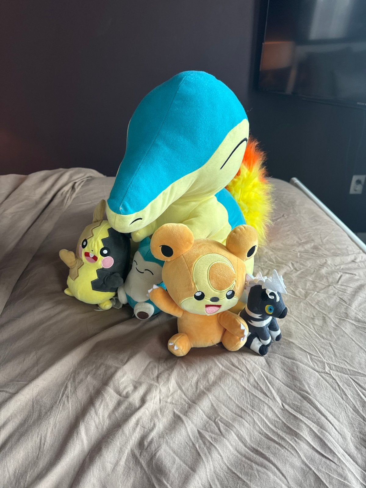 Pokémon knuffels, Ophalen, Gebruikt, Overige typen