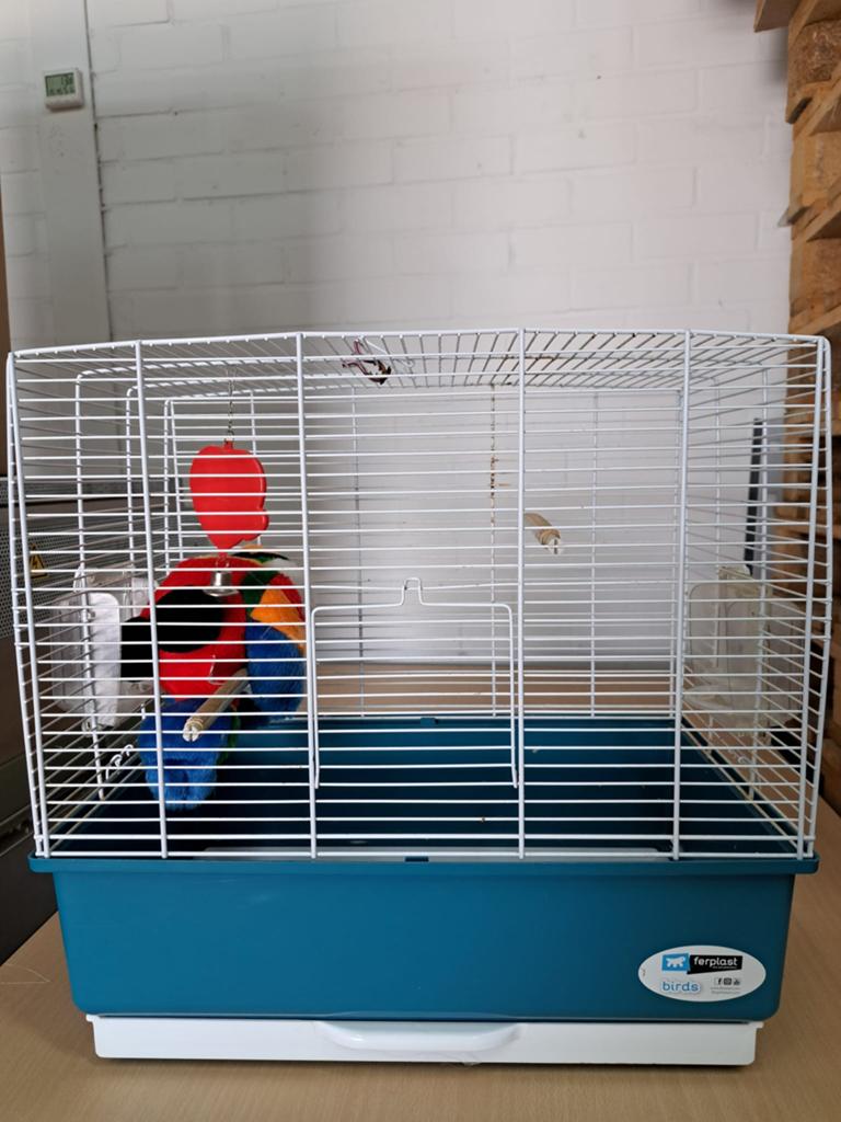 Ferplast Vogelkooi Zo Goed Als Nieuw 60x32x56 cm, Dieren en Toebehoren, Vogels | Hokken en Kooien, Ophalen of Verzenden, Zo goed als nieuw