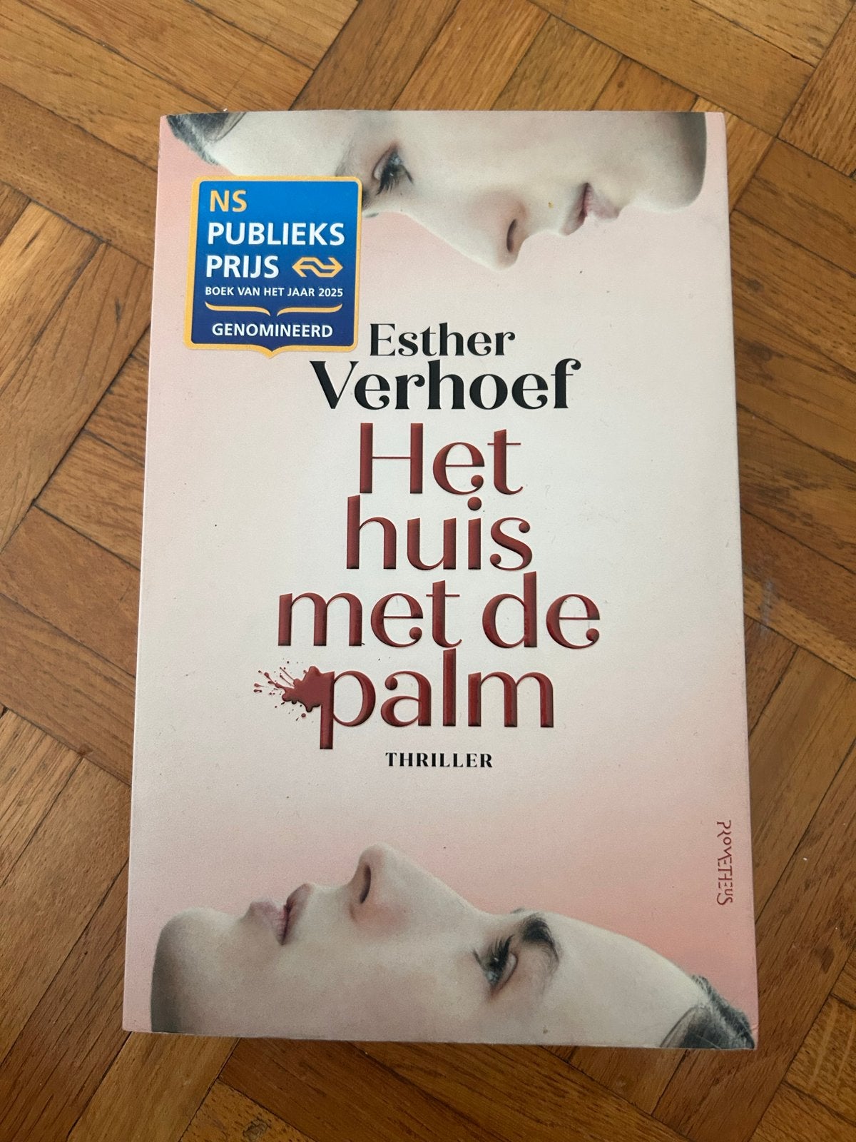Het huis met de palm - Esther Verhoef (Thriller), Ophalen of Verzenden, Zo goed als nieuw, Nederland