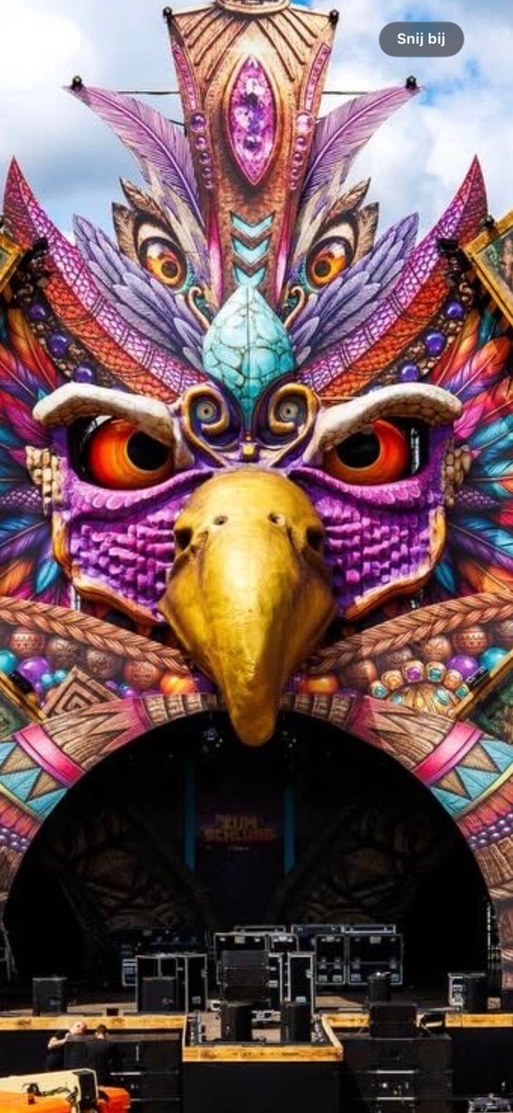 Vogel festival/carnaval/evenement/aankleding/decoratie, Tickets en Kaartjes, Eén persoon