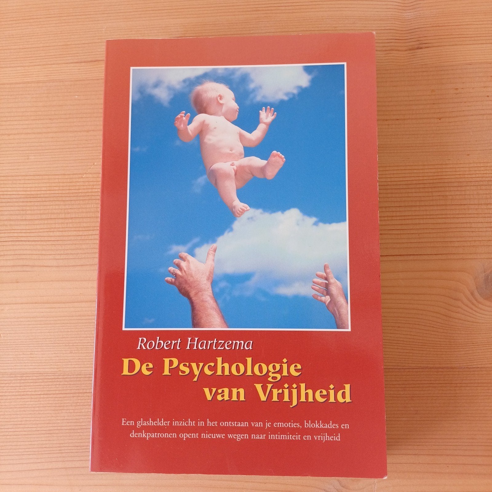 Robert Hartzema - De Psychologie van Vrijheid, Ophalen, Zo goed als nieuw, Robert Hartzema