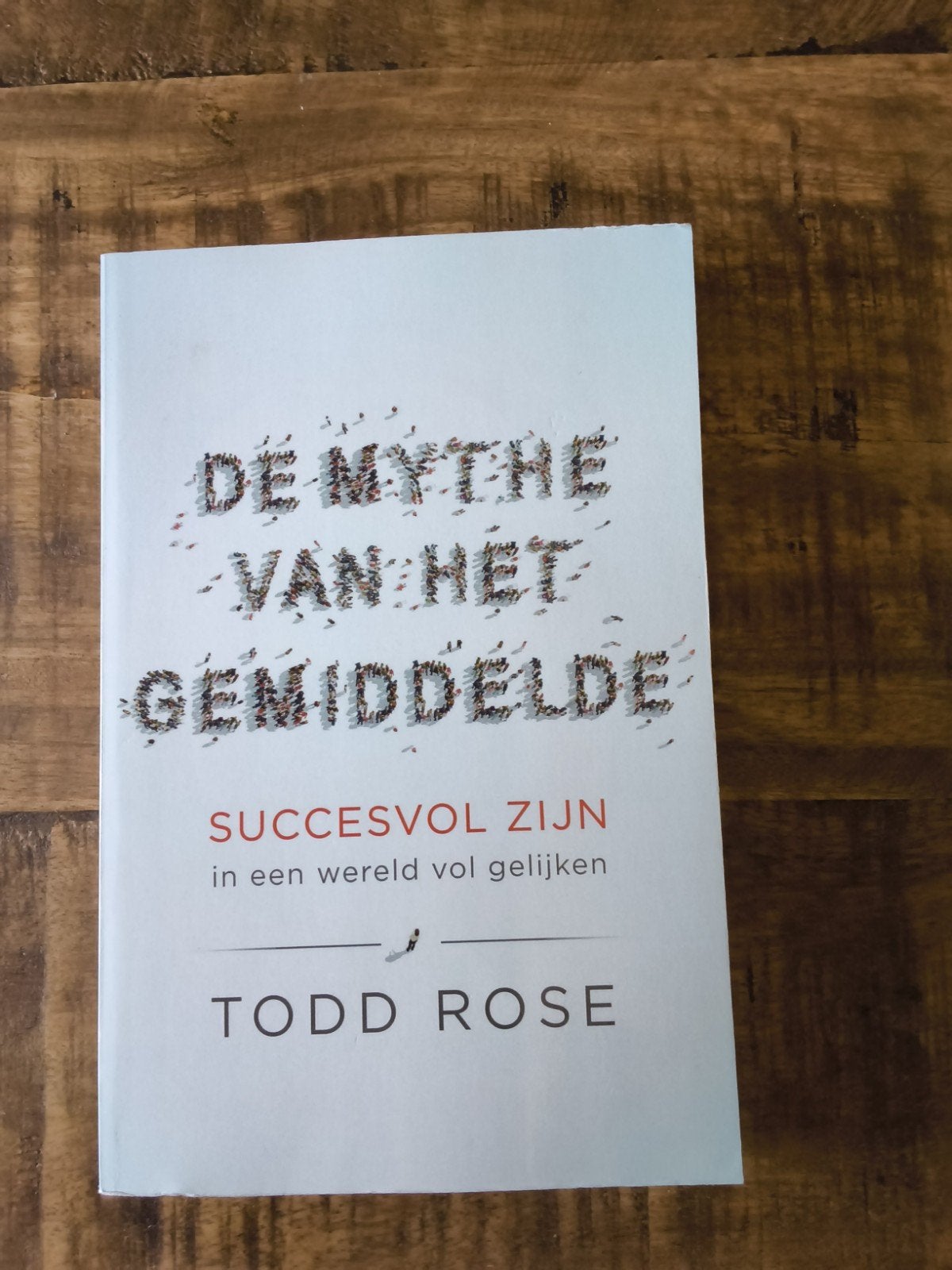 De Mythe van het Gemiddelde - Todd Rose, Ophalen of Verzenden, Zo goed als nieuw, Todd Rose