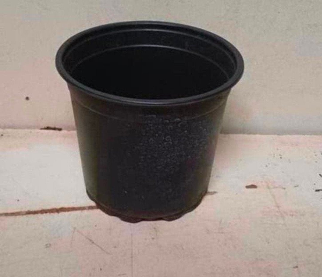 Kweekpotten plantenpotten bloempotten 1,5 liter, Kunststof, Gebruikt, Rond, Ophalen of Verzenden