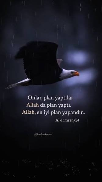 Inspirerende Islamitische Quote met Adelaar, Ophalen of Verzenden, Nieuw, Islam