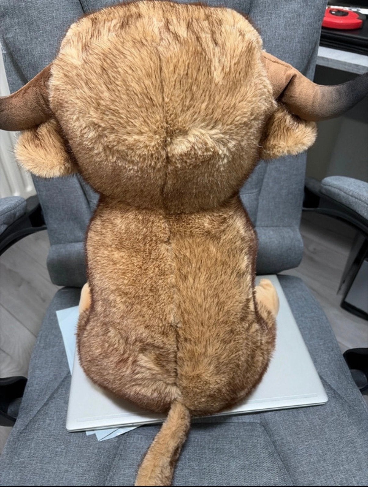 Grote knuffel stier - Zo goed als nieuw, Overige typen, Ophalen of Verzenden, Middelgroot (20 tot 80 cm), Bruin
