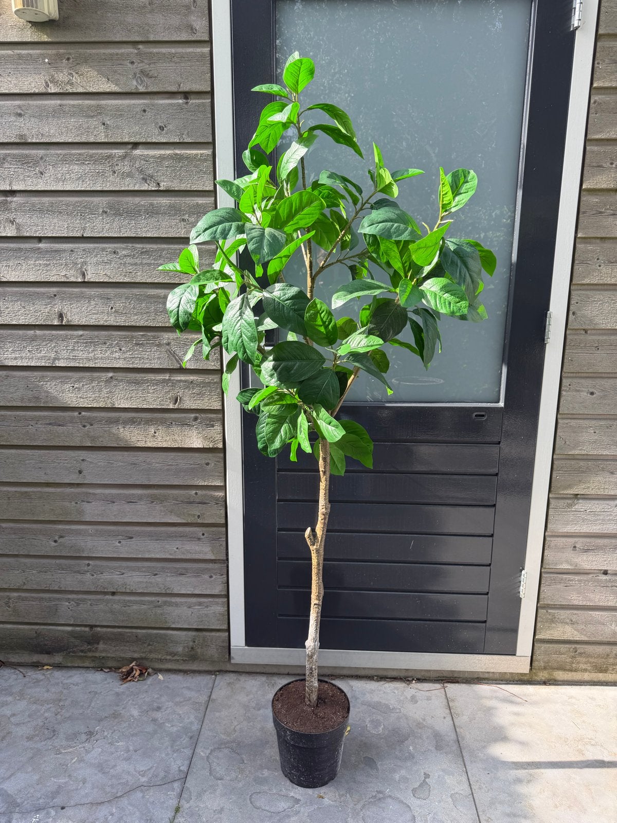 Kunstplant fejka IKEA - Realistische Groene Decoratie, Binnen, Groen, Kunstplant, Ophalen of Verzenden