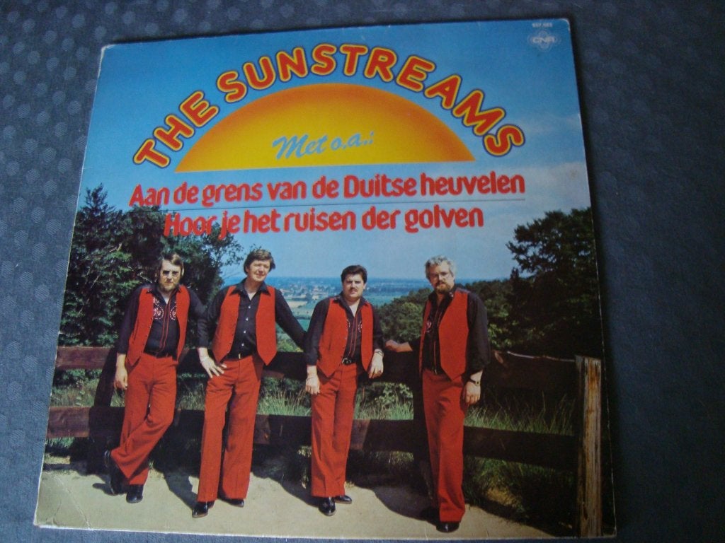 The sunsteams, Ophalen of Verzenden, Zo goed als nieuw, 12 inch, Levenslied of Smartlap