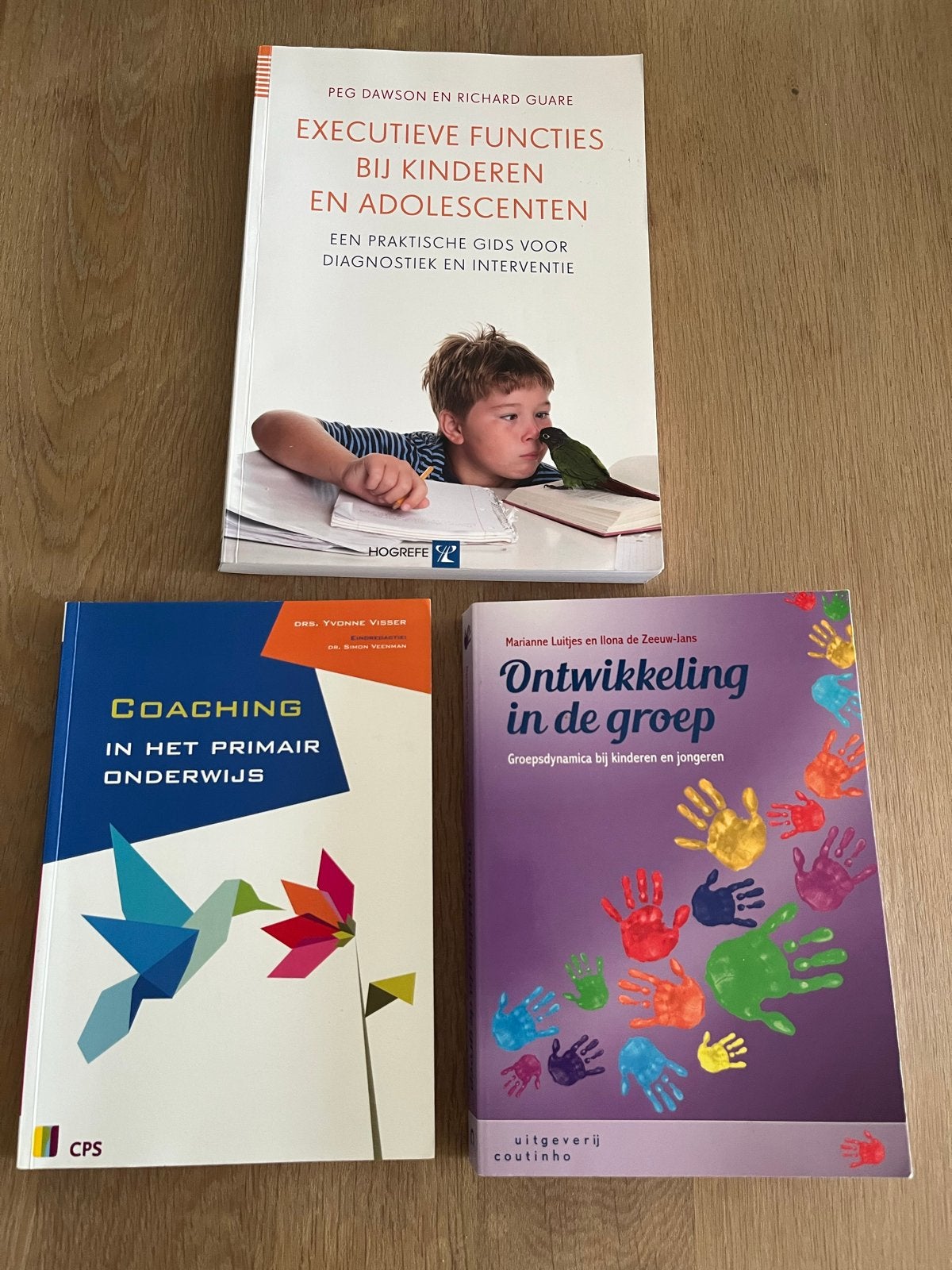 3 boeken: Executieve functies, Coaching, Ontwikkeling groep, Ophalen of Verzenden, Gamma, Zo goed als nieuw, HBO